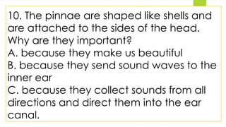 10. The pinnae are shaped like shells and
are attached to the sides of the head.
Why are they important?
A. because they make us beautiful
B. because they send sound waves to the
inner ear
C. because they collect sounds from all
directions and direct them into the ear
canal.
 
