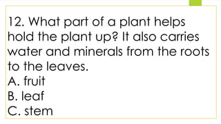 12. What part of a plant helps
hold the plant up? It also carries
water and minerals from the roots
to the leaves.
A. fruit
B. leaf
C. stem
 