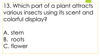 13. Which part of a plant attracts
various insects using its scent and
colorful display?
A. stem
B. roots
C. flower
 