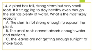 14. A plant has tall, strong stems but very small
roots. It is struggling to stay healthy even though
the soil has plenty of water. What is the most likely
reason?
A. The stem is not strong enough to support the
plant.
B. The small roots cannot absorb enough water
and nutrients.
C. The leaves are not getting enough sunlight to
make food.
 
