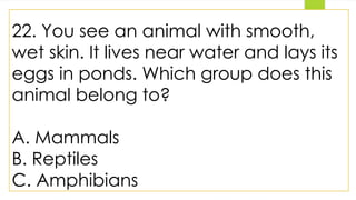 22. You see an animal with smooth,
wet skin. It lives near water and lays its
eggs in ponds. Which group does this
animal belong to?
A. Mammals
B. Reptiles
C. Amphibians
 