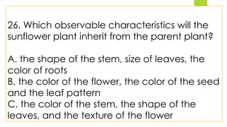 26. Which observable characteristics will the
sunflower plant inherit from the parent plant?
A. the shape of the stem, size of leaves, the
color of roots
B. the color of the flower, the color of the seed
and the leaf pattern
C. the color of the stem, the shape of the
leaves, and the texture of the flower
 