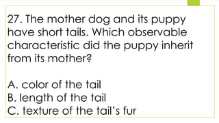 27. The mother dog and its puppy
have short tails. Which observable
characteristic did the puppy inherit
from its mother?
A. color of the tail
B. length of the tail
C. texture of the tail’s fur
 