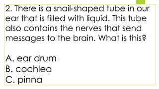 2. There is a snail-shaped tube in our
ear that is filled with liquid. This tube
also contains the nerves that send
messages to the brain. What is this?
A. ear drum
B. cochlea
C. pinna
 