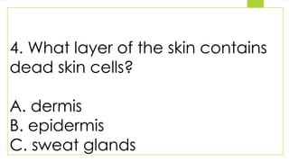 4. What layer of the skin contains
dead skin cells?
A. dermis
B. epidermis
C. sweat glands
 