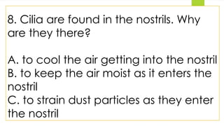 8. Cilia are found in the nostrils. Why
are they there?
A. to cool the air getting into the nostril
B. to keep the air moist as it enters the
nostril
C. to strain dust particles as they enter
the nostril
 