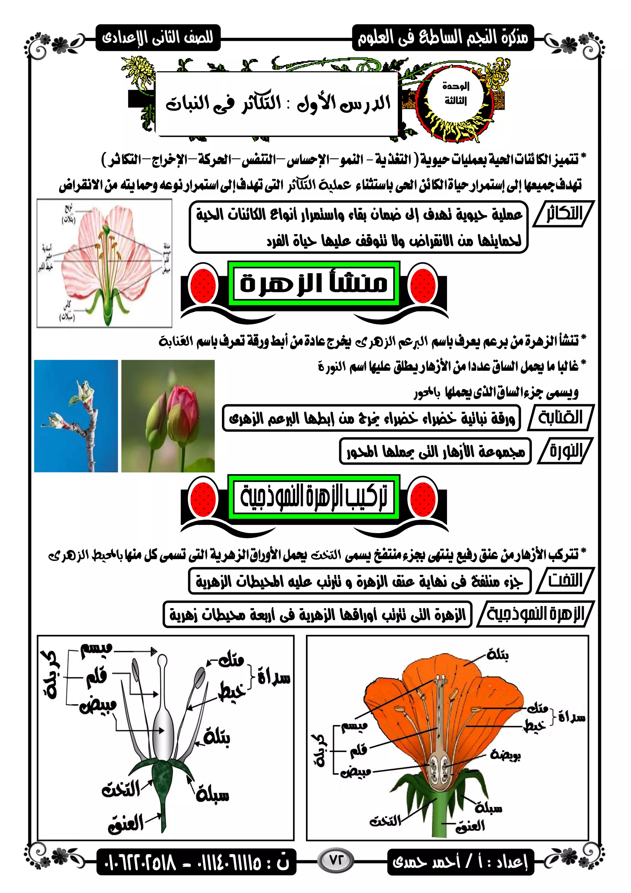 72
‫الت‬ ‫عملية‬‫كاثر‬
‫احلية‬ ‫الكائنات‬ ‫أنضاع‬ ‫واستمرار‬ ‫بقاء‬ ‫عمان‬ ‫إىل‬ ‫تادف‬ ‫حيضية‬ ‫عملية‬
‫الفرد‬ ‫حياة‬ ‫علياا‬ ‫تتضقف‬ ‫وال‬ ‫االنقراض‬ ‫من‬ ‫حلمايتاا‬
‫الربعم‬‫الزهرى‬‫القنابة‬
‫النورة‬
‫باحملور‬
‫هرى‬ ‫ال‬ ‫الربع‬ ‫إبطاا‬ ‫من‬ ‫خيرج‬ ‫خضراء‬ ‫خضراء‬ ‫نىاتية‬ ‫ورقة‬
‫األزها‬ ‫جممضعة‬‫احملضر‬ ‫حيملاا‬ ‫التى‬ ‫ر‬
‫التخت‬‫الزهرى‬ ‫باحمليط‬
‫هرية‬ ‫ال‬ ‫احمليطات‬ ‫عليه‬ ‫ترتتب‬ ‫و‬ ‫هرة‬ ‫ال‬ ‫عنق‬ ‫نااية‬ ‫فى‬ ‫منتفخ‬ ‫ء‬ ‫ا‬
‫زهرية‬ ‫حميطات‬ ‫أربعة‬ ‫فى‬ ‫هرية‬ ‫ال‬ ‫أوراقاا‬ ‫ترتتب‬ ‫التى‬ ‫هرة‬ ‫ال‬
‫الوحدة‬
‫الثالثة‬
‫النبات‬ ‫فى‬ ‫التكاثر‬ : ‫األول‬ ‫الدرس‬
 