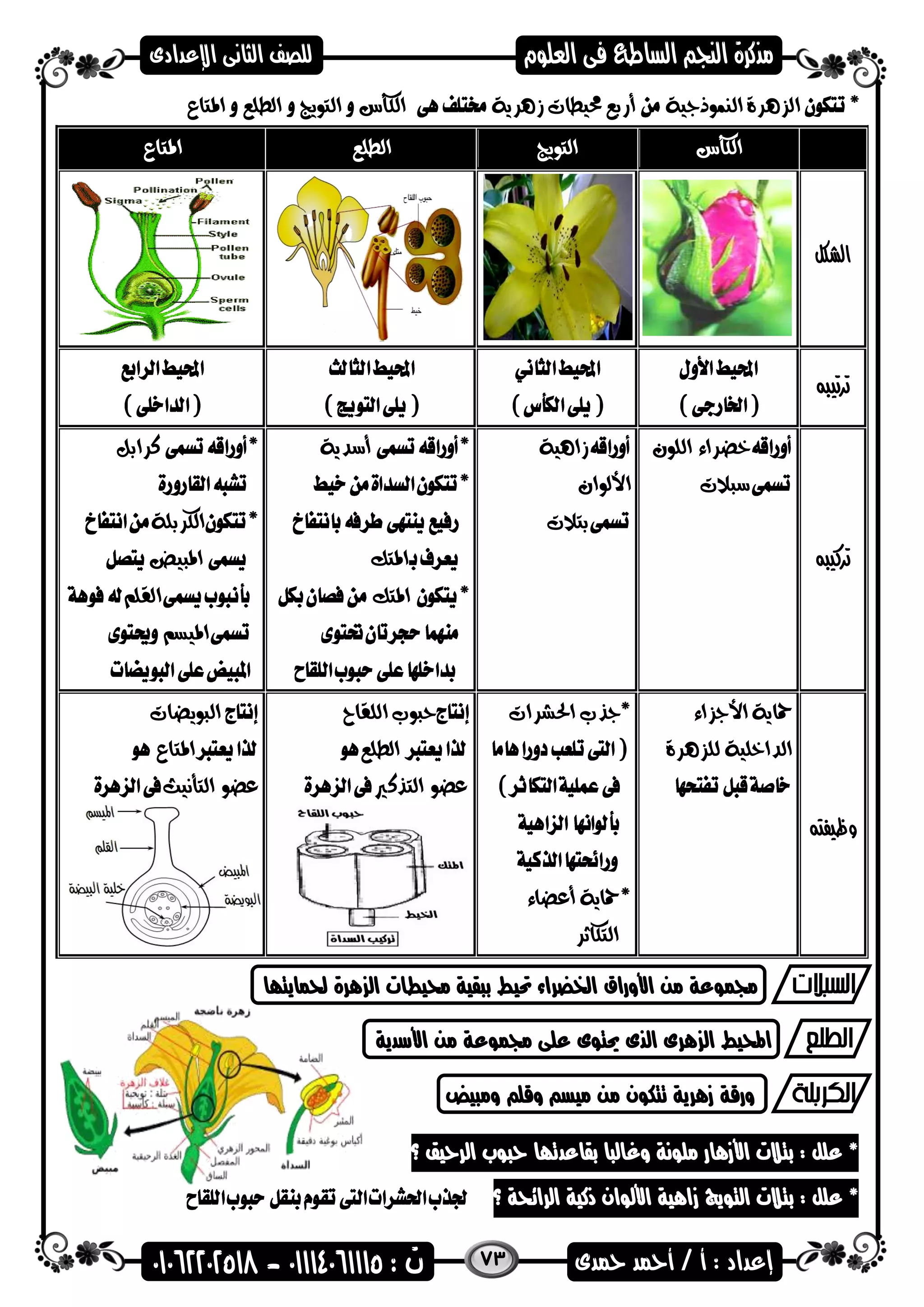 73
‫النموذجية‬ ‫الزهرة‬‫زهرية‬ ‫حميطات‬ ‫أربع‬‫الكأس‬‫التويج‬‫الطلع‬‫املتاع‬
‫الكأس‬‫التويج‬‫الطلع‬‫املتاع‬
‫الشكل‬
‫ترتيبه‬
‫تركيبه‬
‫اللون‬ ‫خضراء‬
‫سبالت‬
‫زاهية‬
‫األلوان‬
‫بتالت‬
‫أسدية‬
‫املتك‬
‫املتك‬
‫كرابل‬
‫الكربلة‬
‫املبيض‬
‫القلم‬
‫امليسم‬
‫وظيفته‬
‫األجزاء‬ ‫محاية‬
‫الداخلية‬‫للزهرة‬
‫احلشرات‬ ‫جذب‬
‫أعضاء‬ ‫محاية‬
‫التكاثر‬
‫اللقاح‬ ‫حبوب‬
‫الطلع‬
‫التذكري‬ ‫عضو‬
‫البويضات‬
‫املتاع‬
‫التأنيث‬ ‫عضو‬
‫حلمايتاا‬ ‫هرة‬ ‫ال‬ ‫حميطات‬ ‫بىقية‬ ‫حتيط‬ ‫اخلضراء‬ ‫األوراق‬ ‫من‬ ‫جممضعة‬
‫األسدية‬ ‫من‬ ‫جممضعة‬ ‫على‬ ‫حيتضى‬ ‫الذى‬ ‫هرى‬ ‫ال‬ ‫احمليط‬
‫ومىيض‬ ‫وقل‬ ‫ميس‬ ‫من‬ ‫تتكضن‬ ‫زهرية‬ ‫ورقة‬
‫؟‬ ‫الرحيق‬ ‫حىضب‬ ‫بقاعدتاا‬ ‫وغالىا‬ ‫ملضنة‬ ‫األزهار‬ ‫بتالت‬ : ‫علل‬ *
‫؟‬ ‫الرائحة‬ ‫ذكية‬ ‫األلضان‬ ‫زاهية‬ ‫التضيج‬ ‫بتالت‬ : ‫علل‬ *
 
