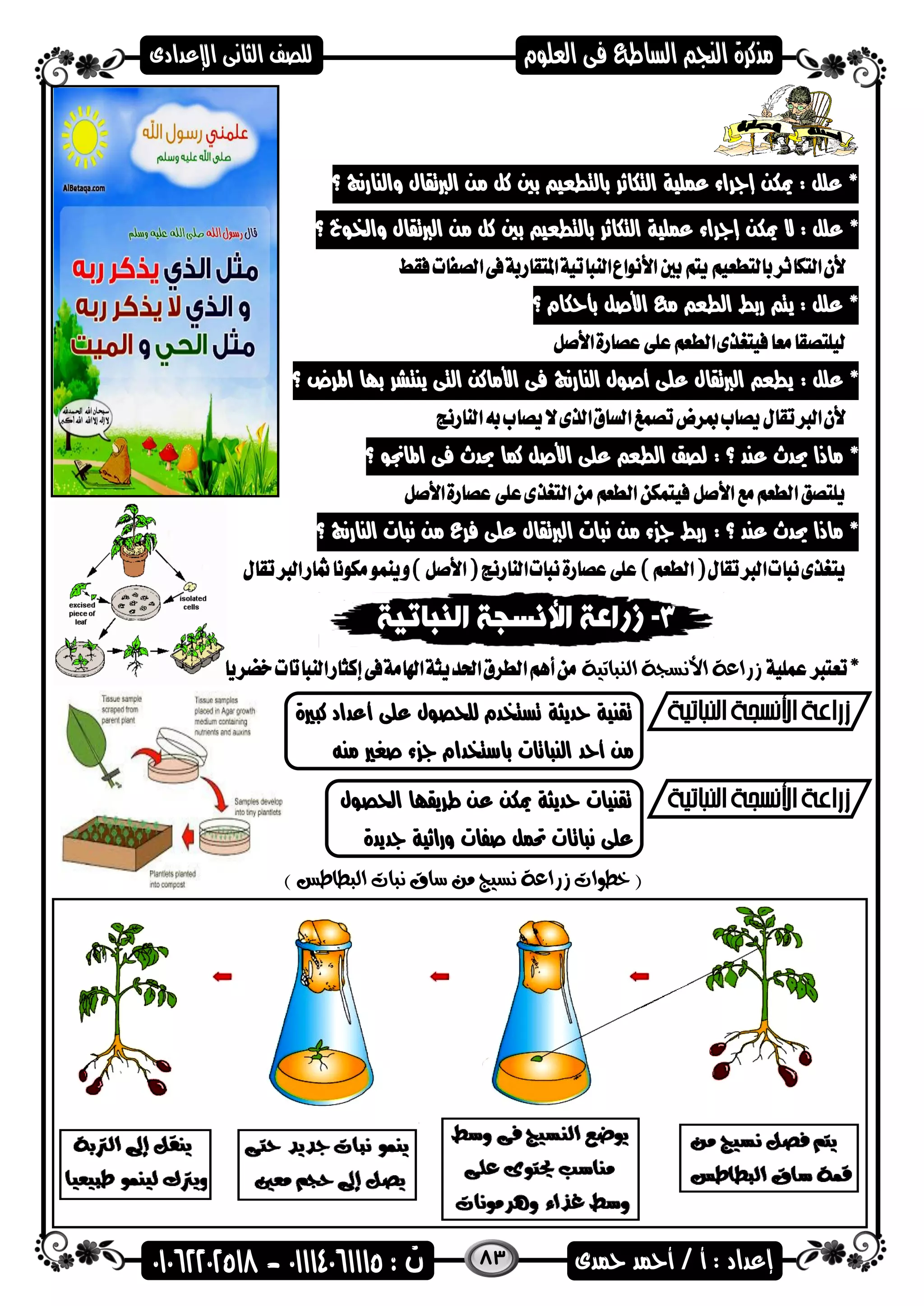 83
‫؟‬ ‫والنارنج‬ ‫الربتقال‬ ‫من‬ ‫كل‬ ‫بني‬ ‫بالتطعي‬ ‫التكاهر‬ ‫عملية‬ ‫إاراء‬ ‫ميكن‬ : ‫علل‬ *
‫ميكن‬ ‫ال‬ : ‫علل‬ *‫إاراء‬‫بالتطعي‬ ‫التكاهر‬ ‫عملية‬‫الربت‬ ‫من‬ ‫كل‬ ‫بني‬‫؟‬ ‫واخلضخ‬ ‫قال‬
‫؟‬ ‫بأحكام‬ ‫األصل‬ ‫م‬ ‫الطع‬ ‫ربط‬ ‫يت‬ : ‫علل‬ *
: ‫علل‬ *‫اهمرض‬ ‫باا‬ ‫ينتشر‬ ‫التى‬ ‫األماكن‬ ‫فى‬ ‫النارنج‬ ‫أصضل‬ ‫على‬ ‫الربتقال‬ ‫يطع‬‫؟‬
*‫؟‬ ‫عند‬ ‫حيدث‬ ‫ماذا‬:‫اهماجنض‬ ‫فى‬ ‫حيدث‬ ‫كما‬ ‫األصل‬ ‫على‬ ‫الطع‬ ‫لصق‬‫؟‬
: ‫؟‬ ‫عند‬ ‫حيدث‬ ‫ماذا‬ *‫النارنج‬ ‫نىات‬ ‫من‬ ‫فرع‬ ‫على‬ ‫الربتقال‬ ‫نىات‬ ‫من‬ ‫ء‬ ‫ا‬ ‫ربط‬‫؟‬
‫النباتية‬ ‫األنسجة‬ ‫زراعة‬
‫حديثة‬ ‫تقنية‬‫على‬ ‫للحصضل‬ ‫تستخدم‬‫كىري‬ ‫أعداد‬‫ة‬
‫النىاتات‬ ‫أحد‬ ‫من‬‫منه‬ ‫صغري‬ ‫ء‬ ‫ا‬ ‫باستخدام‬
‫احلصضل‬ ‫طريقاا‬ ‫عن‬ ‫ميكن‬ ‫حديثة‬ ‫تقنيات‬
‫اديدة‬ ‫وراهية‬ ‫صفات‬ ‫حتمل‬ ‫نىاتات‬ ‫على‬
(‫البطاطس‬ ‫نبات‬ ‫ساق‬ ‫من‬ ‫نسيج‬ ‫زراعة‬ ‫خطوات‬)
 