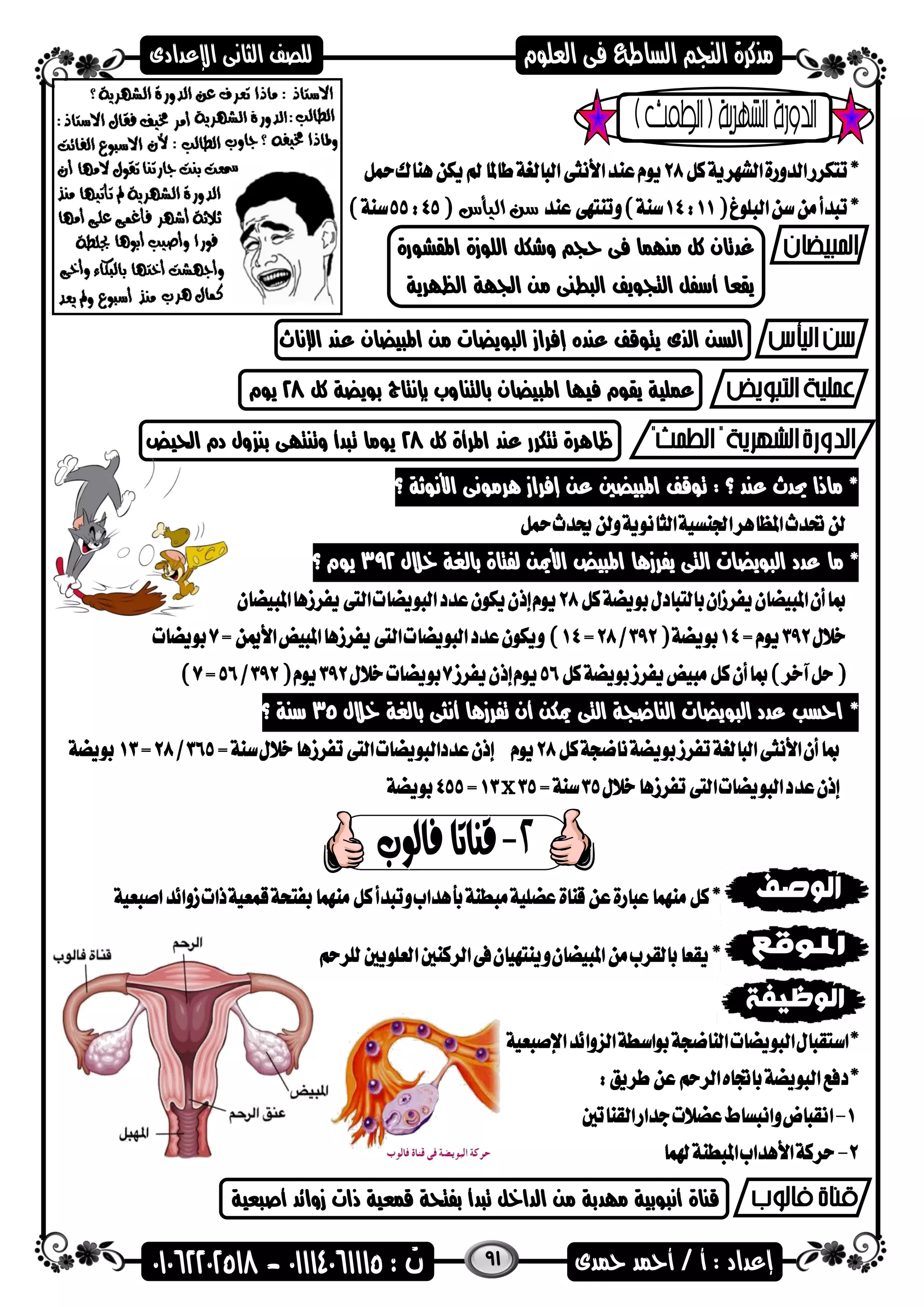 91
‫اليأس‬ ‫سن‬
‫اهمقشضرة‬ ‫اللضزة‬ ‫وشكل‬ ‫حج‬ ‫فى‬ ‫مناما‬ ‫كل‬ ‫غدتان‬
‫الظارية‬ ‫اسجاة‬ ‫من‬ ‫الىطنى‬ ‫التجضيف‬ ‫أسفل‬ ‫يقعا‬
‫اإلناث‬ ‫عند‬ ‫اهمىيضان‬ ‫من‬ ‫الىضيضات‬ ‫إفراز‬ ‫عنده‬ ‫يتضقف‬ ‫الذى‬ ‫السن‬
‫في‬ ‫يقضم‬ ‫عملية‬‫كل‬ ‫بضيضة‬ ‫بإنتاج‬ ‫بالتناوب‬ ‫اهمىيضان‬ ‫اا‬28‫يضم‬
‫كل‬ ‫اهمرأة‬ ‫عند‬ ‫تتكرر‬ ‫ظاهرة‬28‫احليض‬ ‫دم‬ ‫ول‬ ‫بن‬ ‫وتنتاى‬ ‫تىدأ‬ ‫يضما‬
‫؟‬ ‫األنضهة‬ ‫هرمضنى‬ ‫إفراز‬ ‫عن‬ ‫اهمىيضني‬ ‫تضقف‬ : ‫؟‬ ‫عند‬ ‫حيدث‬ ‫ماذا‬ *
‫ما‬ *‫خالل‬ ‫بالغة‬ ‫لفتاة‬ ‫األمين‬ ‫اهمىيض‬ ‫يفرزها‬ ‫التى‬ ‫الىضيضات‬ ‫عدد‬392‫؟‬ ‫يضم‬
*‫خالل‬ ‫بالغة‬ ‫أنثى‬ ‫تفرزها‬ ‫أن‬ ‫ميكن‬ ‫التى‬ ‫الناعجة‬ ‫الىضيضات‬ ‫عدد‬ ‫احسب‬35‫سنة‬‫؟‬
x
‫أصىعية‬ ‫زوائد‬ ‫ذات‬ ‫قمعية‬ ‫بفتحة‬ ‫تىدأ‬ ‫الداخل‬ ‫من‬ ‫مادبة‬ ‫أنىضبية‬ ‫قناة‬
 