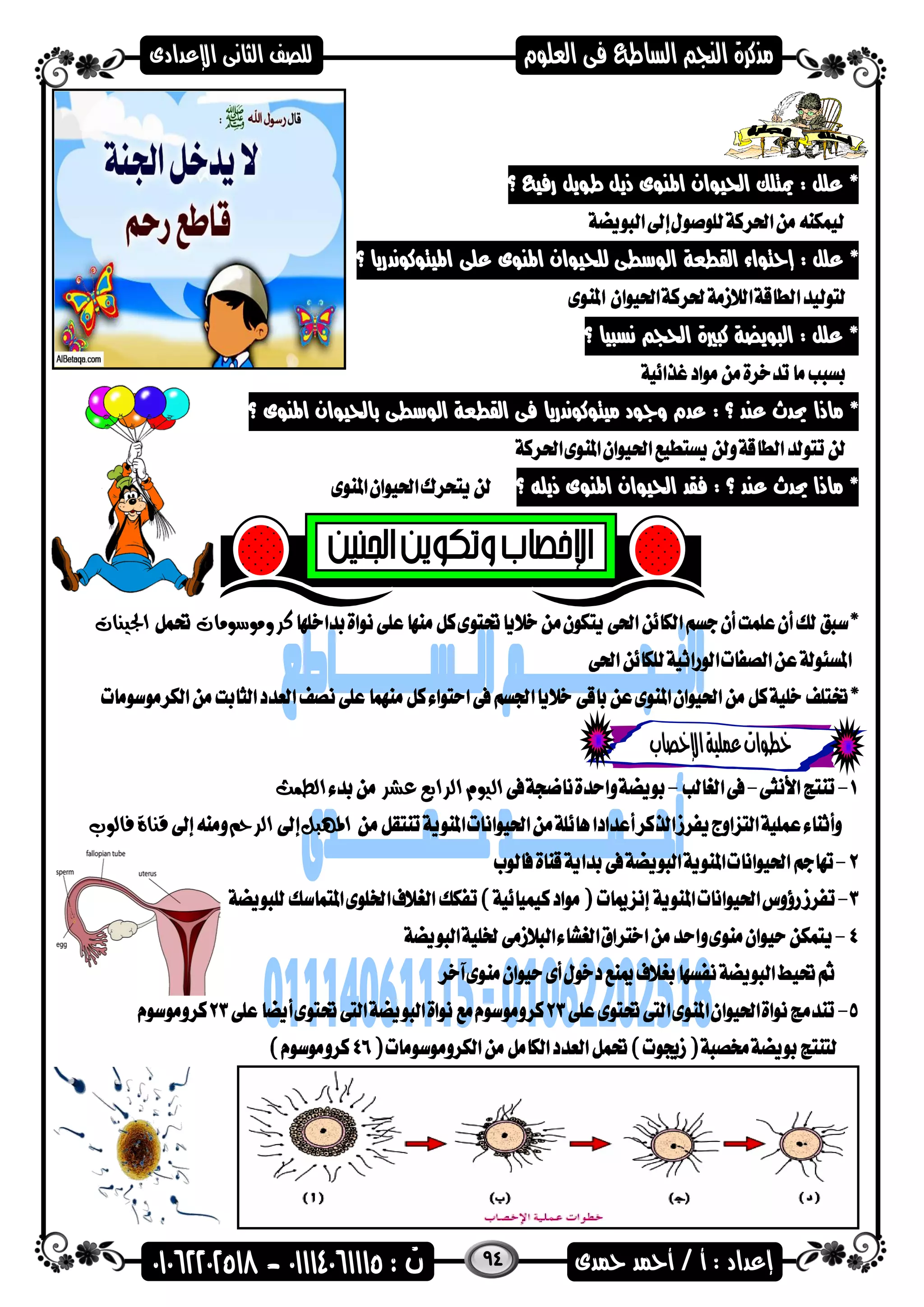 94
‫اهم‬ ‫احليضان‬ ‫ميتلك‬ : ‫علل‬ *‫؟‬ ‫رفي‬ ‫طضيل‬ ‫ذيل‬ ‫نضى‬
: ‫علل‬ *‫إحتضاء‬‫الضسطى‬ ‫القطعة‬‫ل‬‫ل‬‫اهمنضى‬ ‫حيضان‬‫اهم‬ ‫على‬‫؟‬ ‫يتضكضندريا‬
‫؟‬ ‫نسىيا‬ ‫احلج‬ ‫كىرية‬ ‫الىضيضة‬ : ‫علل‬ *
‫ماذا‬ *‫؟‬ ‫اهمنضى‬ ‫باحليضان‬ ‫الضسطى‬ ‫القطعة‬ ‫فى‬ ‫ميتضكضندريا‬ ‫واضد‬ ‫عدم‬ : ‫؟‬ ‫عند‬ ‫حيدث‬
: ‫؟‬ ‫عند‬ ‫حيدث‬ ‫ماذا‬ *‫ذيله‬ ‫اهمنضى‬ ‫احليضان‬ ‫فقد‬‫؟‬
‫كر‬‫و‬‫موسومات‬‫اجلينات‬
‫عشر‬ ‫الرابع‬ ‫اليوم‬‫الطمث‬
‫املهبل‬‫الرحم‬‫فالوب‬ ‫قناة‬
 