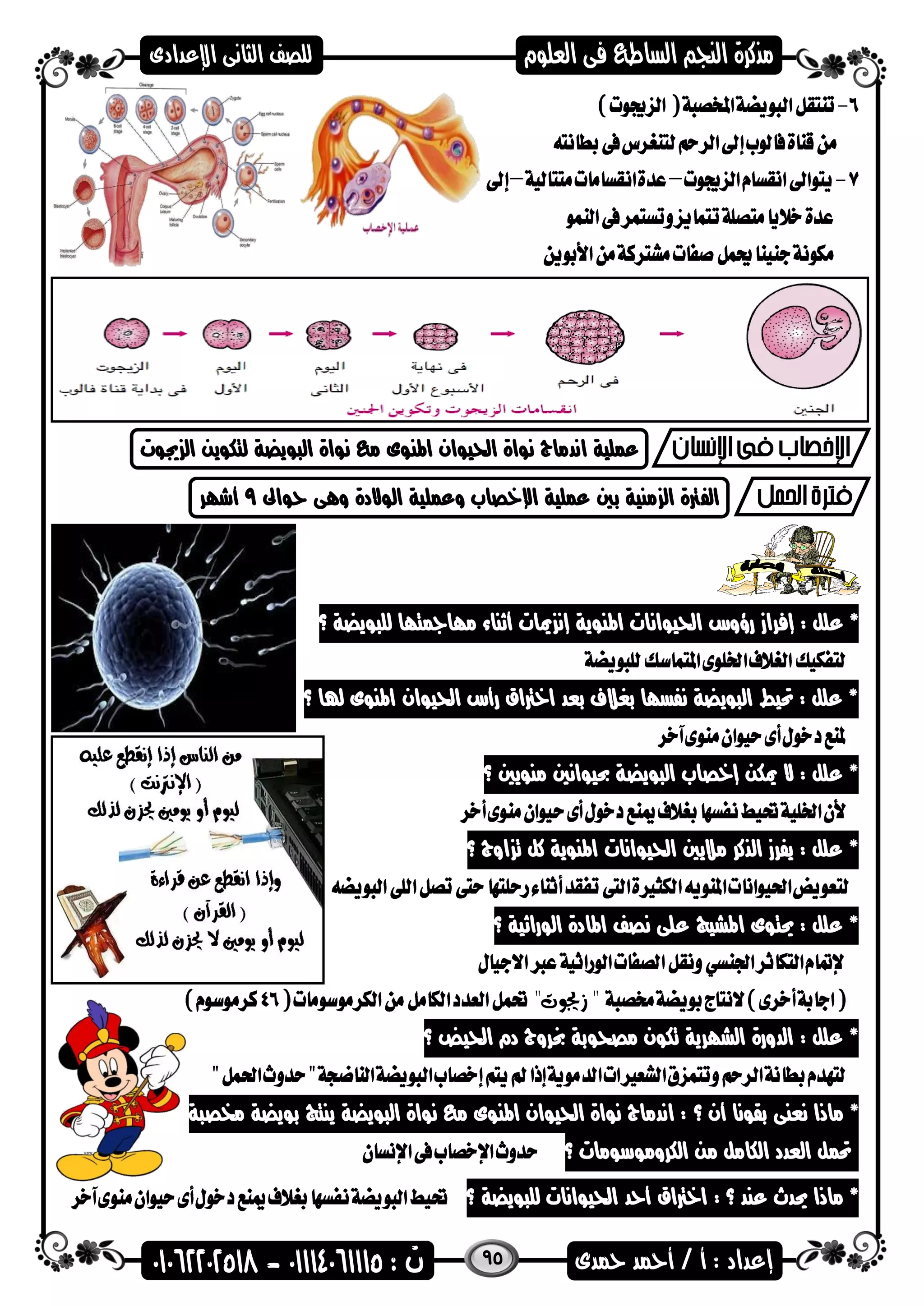 95
‫جيضت‬ ‫ال‬ ‫لتكضين‬ ‫الىضيضة‬ ‫نضاة‬ ‫م‬ ‫اهمنضى‬ ‫احليضان‬ ‫نضاة‬ ‫اندماج‬ ‫عملية‬
‫الف‬‫حضاىل‬ ‫وهى‬ ‫الضالدة‬ ‫وعملية‬ ‫اإلخصاب‬ ‫عملية‬ ‫بني‬ ‫منية‬ ‫ال‬ ‫رتة‬9‫أشار‬
‫إفراز‬ : ‫علل‬ *‫رؤوس‬‫ميات‬ ‫إن‬ ‫اهمنضية‬ ‫احليضانات‬‫أهناء‬‫؟‬ ‫للىضيضة‬ ‫ماامجتاا‬
‫؟‬ ‫هلا‬ ‫اهمنضى‬ ‫احليضان‬ ‫رأس‬ ‫اخرتاق‬ ‫بعد‬ ‫بغالف‬ ‫نفساا‬ ‫الىضيضة‬ ‫حتيط‬ : ‫علل‬ *
‫؟‬ ‫منضيني‬ ‫حبيضانني‬ ‫الىضيضة‬ ‫إخصاب‬ ‫ميكن‬ ‫ال‬ : ‫علل‬ *
‫؟‬ ‫اوج‬ ‫ت‬ ‫كل‬ ‫اهمنضية‬ ‫احليضانات‬ ‫ماليني‬ ‫الذكر‬ ‫يفرز‬ : ‫علل‬ *
‫؟‬ ‫الضراهية‬ ‫اهمادة‬ ‫نصف‬ ‫على‬ ‫اهمشيج‬ ‫حيتضى‬ : ‫علل‬ *
"‫زجيوت‬ "
‫خب‬ ‫مصحضبة‬ ‫تكضن‬ ‫الشارية‬ ‫الدورة‬ : ‫علل‬ *‫؟‬ ‫احليض‬ ‫دم‬ ‫روج‬
*‫ماذا‬‫أن‬ ‫بقضنا‬ ‫نعنى‬‫؟‬‫خمصىة‬ ‫بضيضة‬ ‫ينتج‬ ‫الىضيضة‬ ‫نضاة‬ ‫م‬ ‫اهمنضى‬ ‫احليضان‬ ‫نضاة‬ ‫اندماج‬ :
‫الكرومضسضمات‬ ‫من‬ ‫الكامل‬ ‫العدد‬ ‫حتمل‬‫؟‬
: ‫؟‬ ‫عند‬ ‫حيدث‬ ‫ماذا‬ *‫للىضيضة‬ ‫احليضانات‬ ‫أحد‬ ‫اخرتاق‬‫؟‬
 