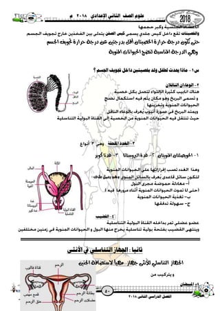 ‫الثانى‬ ‫الدراسي‬ ‫الفصل‬8102‫أحمد‬ ‫على‬ ‫السيد‬ /‫ستاذ‬
ُ
‫األ‬ ‫إعداد‬
‫اإلعدادي‬ ‫الثاني‬ ‫الصف‬ ‫علوم‬8102‫م‬
‫واخلصيتات‬‫كيس‬‫الصفن‬
‫أق‬ ‫اخلصيتان‬ ‫حرارة‬ ‫درجة‬ ‫تكون‬ ‫حتى‬‫اجلسم‬ ‫جتويف‬ ‫حرارة‬ ‫درجة‬ ‫عن‬ ‫بدرجتني‬ ‫ل‬
‫املنوية‬ ‫احليوانات‬ ‫لنضج‬ ‫املناسبة‬ ‫الدرجة‬ ‫وهي‬
‫س‬1-‫خبصيت‬ ‫ولد‬ ‫لطفل‬ ‫حيدث‬ ‫ماذا‬‫نت‬‫؟‬ ‫اجلسم‬ ‫وجوي‬ ‫داخل‬
2-‫الناقالن‬ ‫الوعاءان‬
3-‫امللحقة‬ ‫الغدد‬
1-‫املنويتان‬ ‫احلويصلتان‬2-‫الربوستاتا‬ ‫غدة‬3-‫كوبر‬ ‫غدتا‬
:‫على‬‫يعمل‬‫وهو‬
4-‫القضيب‬
‫ُنثى‬‫أل‬‫ا‬ ‫يف‬ ‫التناسلي‬ ‫اجلهاز‬ : ‫ثانيا‬
‫اجلنني‬ ‫الستضافة‬ ‫مهيأ‬ ‫جهاز‬ ‫ُنثى‬‫أل‬‫ل‬ ‫التناسلي‬ ‫اجلهاز‬
1-‫املبيضان‬
 