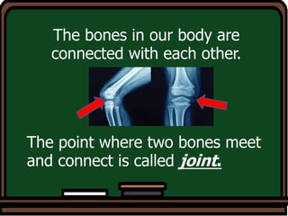 The bones in our body are
connected with each other.
The point where two bones meet
and connect is called joint.
 