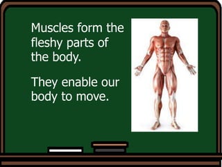 Muscles form the
fleshy parts of
the body.
They enable our
body to move.
 