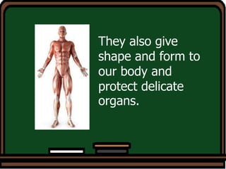 They also give
shape and form to
our body and
protect delicate
organs.
 