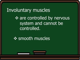 Involuntary muscles
 smooth muscles
 are controlled by nervous
system and cannot be
controlled.
 