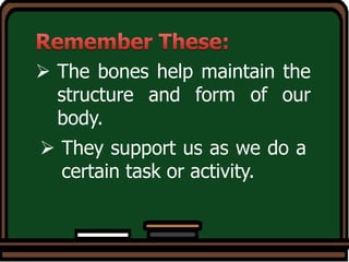  The bones help maintain the
structure and form of our
body.
 They support us as we do a
certain task or activity.
 