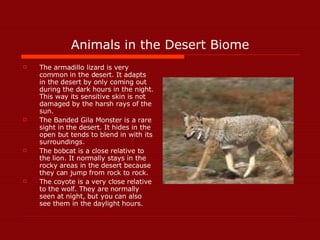 Animals in the Desert Biome ,[object Object],[object Object],[object Object],[object Object]