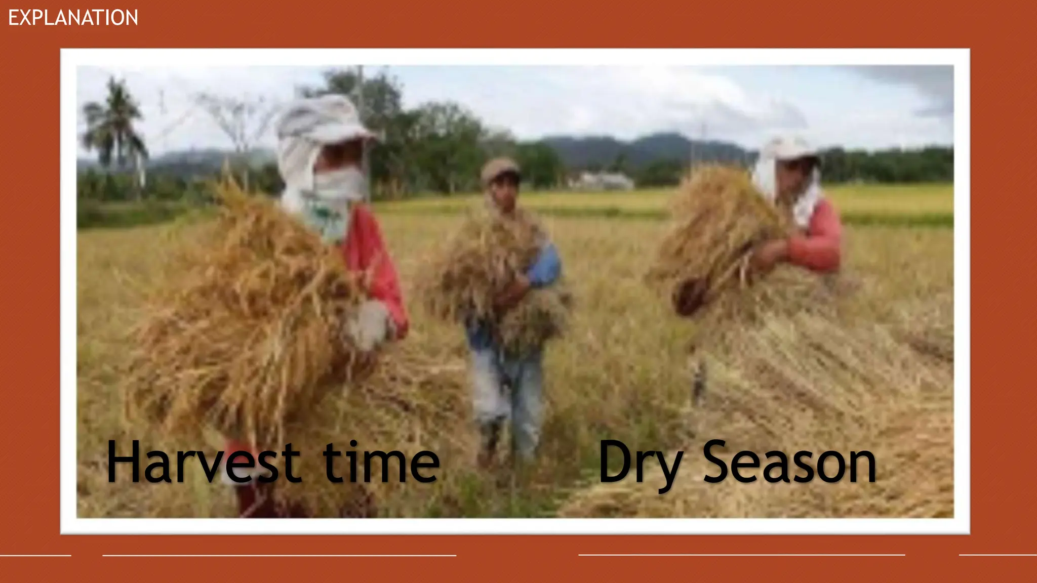 Science-6-Appropriate-Activities-for-Specific-Seasons-in-the ...