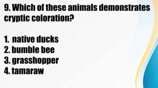9. Which of these animals demonstrates
cryptic coloration?
1. native ducks
2. bumble bee
3. grasshopper
4. tamaraw
 