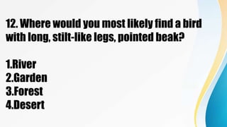 12. Where would you most likely find a bird
with long, stilt-like legs, pointed beak?
1.River
2.Garden
3.Forest
4.Desert
 