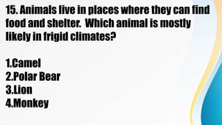 15. Animals live in places where they can find
food and shelter. Which animal is mostly
likely in frigid climates?
1.Camel
2.Polar Bear
3.Lion
4.Monkey
 