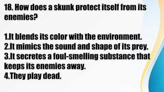 18. How does a skunk protect itself from its
enemies?
1.It blends its color with the environment.
2.It mimics the sound and shape of its prey.
3.It secretes a foul-smelling substance that
keeps its enemies away.
4.They play dead.
 