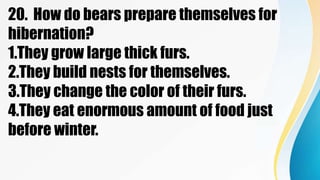 20. How do bears prepare themselves for
hibernation?
1.They grow large thick furs.
2.They build nests for themselves.
3.They change the color of their furs.
4.They eat enormous amount of food just
before winter.
 