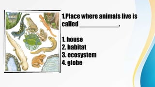 1.Place where animals live is
called ___________.
1. house
2. habitat
3. ecosystem
4. globe
 