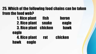 25. Which of the following food chains can be taken
from the food web?
1. Rice plant fish heron
2. Rice plant snake eagle
3. Rice plant chicken hawk
eagle
4. Rice plant rat chicken
hawk eagle
 