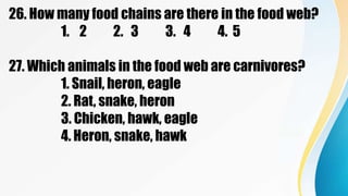 26. How many food chains are there in the food web?
1. 2 2. 3 3. 4 4. 5
27. Which animals in the food web are carnivores?
1. Snail, heron, eagle
2. Rat, snake, heron
3. Chicken, hawk, eagle
4. Heron, snake, hawk
 