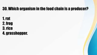 30. Which organism in the food chain is a producer?
1. rat
2. frog
3. rice
4. grasshopper.
 