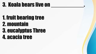 3. Koala bears live on ___________.
1. fruit bearing tree
2. mountain
3. eucalyptus Three
4. acacia tree
 