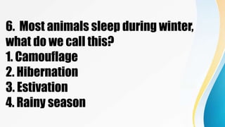 6. Most animals sleep during winter,
what do we call this?
1. Camouflage
2. Hibernation
3. Estivation
4. Rainy season
 