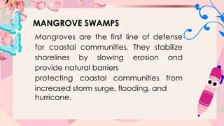 Protecting Swmps Science-6 Protection and Conservation of Ecosystem | PPTX