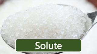 Science-6-Wk-2-L2-Differentiating-a-Solute-from-a-Solvent-PPT.pptx