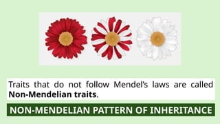 Trait Science Non Example Comprehensive Science 9 Guide to Heredity and Non-Mendelian Inheritance ...
