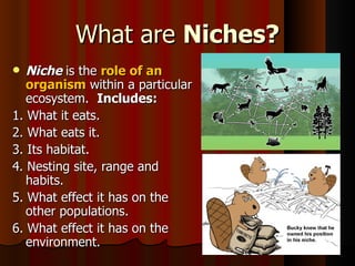 What are  Niches? Niche  is the  role of an organism  within a particular ecosystem.  Includes: 1. What it eats. 2. What eats it. 3. Its habitat. 4. Nesting site, range and habits. 5. What effect it has on the other populations. 6. What effect it has on the environment. 