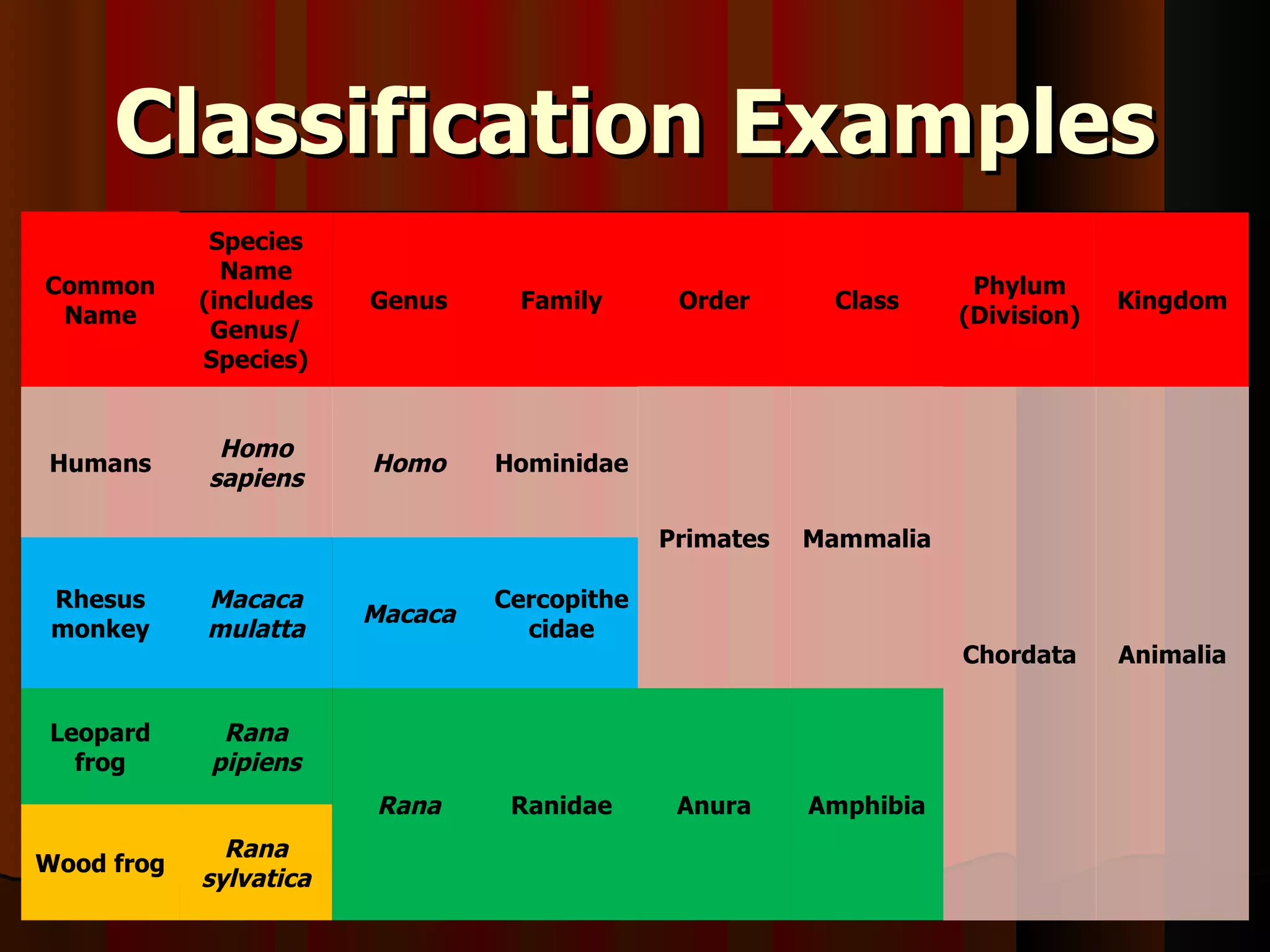 Science 9 Unit A Biological Diversity Section1 Lesson1 | PPT