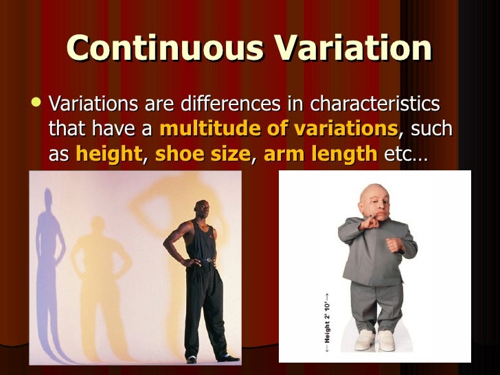 Science 9 Unit A Biological Diversity Section2 Lesson Variation