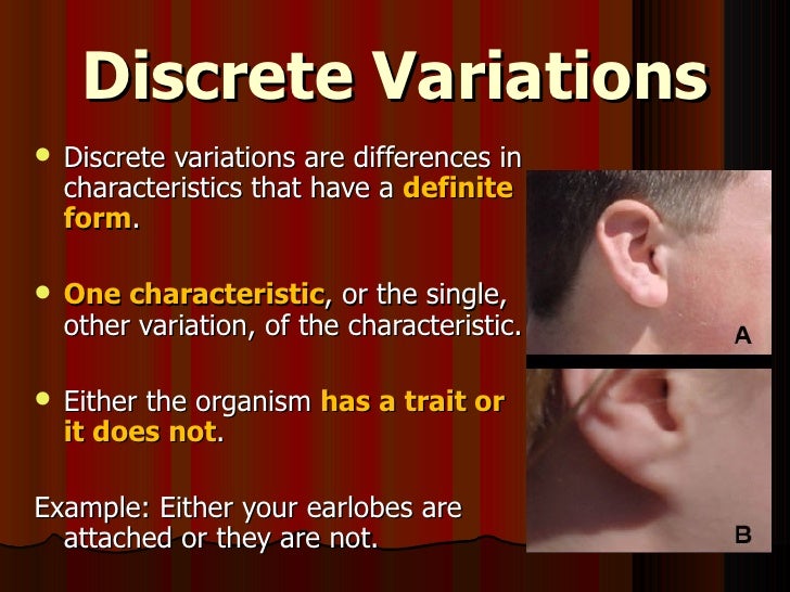 Science 9 Unit A Biological Diversity Section2 Lesson Variation