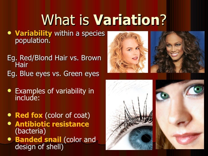 Variation Meaning