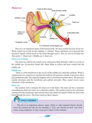 135
	 The ear is an important organ of the human body. We hear sounds because of our ear.
When sound waves fall on the eardrum, it vibrates. These vibrations are converted into
electrical signals which travel to the brain through nerves. The ear can be divided into
three parts: 1. Outer ear 2. Middle ear 3. Inner ear.
Outer ear or Pinna
	 The outer ear collects the sound waves and passes them through a tube to a cavity in
the middle ear. Its peculiar funnel like shape helps to collect and pass sounds into the
middle ear.
Middle ear
	 There is a thin membrane in the cavity of the middle ear called the eardrum. When a
compression in a sound wave reaches the eardrum, the pressure outside it increases and it
gets pushed inwards. The opposite happens when a rarefaction reaches there. The pressure
outside decreases and the membrane gets pulled outwards. Thus, sound waves cause
vibrations of the membrane.
Inner ear
	 The auditory nerve connects the inner ear to the brain. The inner ear has a structure
resembling the shell of a snail. It is called the cochlea. The cochlea receives the vibrations
coming from the membrane and converts them into electrical signals which are sent to the
brain through the nerve. The brain analyses these signals.
	 The ear is an important sensory organ. Sticks or other pointed objects should
never be inserted into the ear for cleaning it. Also, one should not hear very loud
music using earphones. It may cause grave injury to the eardrum. 	
Outer ear
(Pinna)
Auditory canal
Middle ear
Inner ear
Tympanic cavity
Semi-circular canals
Chain of three bones
Eardrum
Eustachian tube
CochleaStapes
Always remember
Human ear
12.6 Structure of the human ear
 