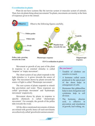 169
	 Movement or growth of any part of the plant
in response to an external stimulus is called
‘tropism’ or ‘tropic movement’.
	 The shoot system of any plant responds to the
light stimulus i.e. it grows towards the source of
light. The movement shown by plants towards the
source of light is called ‘Phototropic movement’.
	 The root system of plants responds to stimuli
like gravitation and water. These responses are
called ‘gravitropic movement’ and ‘hydrotropic
movement’ respectively.
	 Movement shown by plants in response to
specific chemicals is called ‘chemotropic
movement’. For exmaple, the growth of the pollen
tube towards the ovule.
	 All the above-mentioned movements of plants
are related with growth; hence all such movements
arecollectivelycalled‘growthrelevantmovements’.
Co-ordination in plants
	 Plant do not have systems like the nervous system or muscular system of animals.
Then, how do plants bring about movements? In plants, movements are mainly in the form
of responses given to the stimuli.
Observe the following figures carefully.
15.9 Co-ordination in plants
Pollen tube growing
towards the ovule
Pollen grains
Pollen tube
Ovule
Ovary
Tendrils
Phototropic response Thigmotropic
response
Observe
Do you know?
*	 Tendrils of climbers are
sensitive to touch.
*	 A hormone called auxin
produced in the apical part
of the shoot helps in
enlargement of cells.
*	 Hormones like gibberellins
help in stem elongation and
cytokinins help in cell
division.
*	 The hormone, abscisic
acid, is effective in
prevention and retardation
of growth, leaf wilting, etc.
Sun
Plantlet bent
towards the sun
 