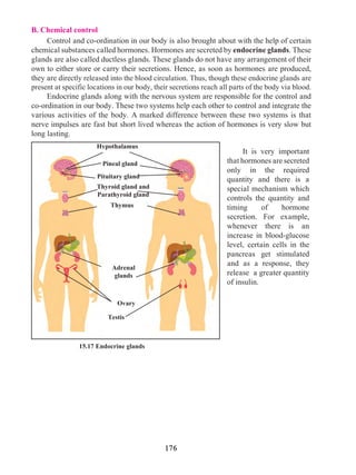176
B. Chemical control	
Control and co-ordination in our body is also brought about with the help of certain
chemical substances called hormones. Hormones are secreted by endocrine glands. These
glands are also called ductless glands. These glands do not have any arrangement of their
own to either store or carry their secretions. Hence, as soon as hormones are produced,
they are directly released into the blood circulation. Thus, though these endocrine glands are
present at specific locations in our body, their secretions reach all parts of the body via blood.	
Endocrine glands along with the nervous system are responsible for the control and
co-ordination in our body. These two systems help each other to control and integrate the
various activities of the body. A marked difference between these two systems is that
nerve impulses are fast but short lived whereas the action of hormones is very slow but
long lasting.
15.17 Endocrine glands	
It is very important
that hormones are secreted
only in the required
quantity and there is a
special mechanism which
controls the quantity and
timing of hormone
secretion. For example,
whenever there is an
increase in blood-glucose
level, certain cells in the
pancreas get stimulated
and as a response, they
release a greater quantity
of insulin.	
Hypothalamus
Adrenal
glands
Ovary
Pituitary gland
Thyroid gland and
Parathyroid gland
Thymus
Testis
Pineal gland
 