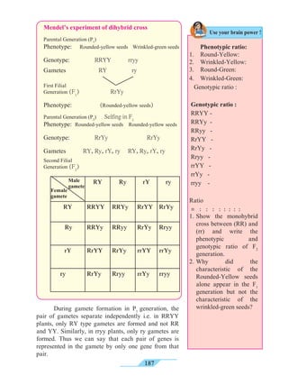 187
Mendel’s experiment of dihybrid cross
Parental Generation (P1
)
Phenotype: Rounded-yellow seeds Wrinkled-green seeds
Genotype: RRYY rryy
Gametes RY ry
First Filial
Generation (F1
) RrYy
		
Phenotype: (Rounded-yellow seeds)
Parental Generation (P2
) Selfing in F1
Phenotype: Rounded-yellow seeds Rounded-yellow seeds
Genotype: RrYy RrYy
Gametes RY, Ry, rY, ry RY, Ry, rY, ry
Second Filial
Generation (F2
)
	
RY Ry rY ry
RY RRYY RRYy RrYY RrYy
Ry RRYy RRyy RrYy Rryy
rY RrYY RrYy rrYY rrYy
ry RrYy Rryy rrYy rryy
Male
gamete
Female
gamete
	 Phenotypic ratio:
1.	Round-Yellow:
2.	Wrinkled-Yellow:
3.	Round-Green:
4.	Wrinkled-Green:
Genotypic ratio : 	
Genotypic ratio :
RRYY -
RRYy -
RRyy -
RrYY -
RrYy -
Rryy -
rrYY -
rrYy -
rryy -
Ratio
= : : : : : : : :
	 During gamete formation in P1
generation, the
pair of gametes separate independently i.e. in RRYY
plants, only RY type gametes are formed and not RR
and YY. Similarly, in rryy plants, only ry gametes are
formed. Thus we can say that each pair of genes is
represented in the gamete by only one gene from that
pair.
Use your brain power !
1.	Show the monohybrid
cross between (RR) and
(rr) and write the
phenotypic and
genotypic ratio of F2
generation.
2.	Why did the
characteristic of the
Rounded-Yellow seeds
alone appear in the F1
generation but not the
characteristic of the
wrinkled-green seeds?
 