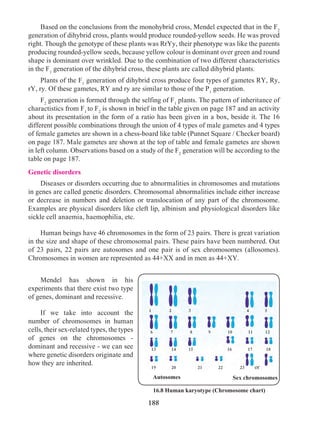 188
	 Based on the conclusions from the monohybrid cross, Mendel expected that in the F2
generation of dihybrid cross, plants would produce rounded-yellow seeds. He was proved
right. Though the genotype of these plants was RrYy, their phenotype was like the parents
producing rounded-yellow seeds, because yellow colour is dominant over green and round
shape is dominant over wrinkled. Due to the combination of two different characteristics
in the F1
generation of the dihybrid cross, these plants are called dihybrid plants.
	 Plants of the F1
generation of dihybrid cross produce four types of gametes RY, Ry,
rY, ry. Of these gametes, RY and ry are similar to those of the P1
generation.
	F2
generation is formed through the selfing of F1
plants. The pattern of inheritance of
charactistics from F1
to F2
is shown in brief in the table given on page 187 and an activity
about its presentation in the form of a ratio has been given in a box, beside it. The 16
different possible combinations through the union of 4 types of male gametes and 4 types
of female gametes are shown in a chess-board like table (Punnet Square / Checker board)
on page 187. Male gametes are shown at the top of table and female gametes are shown
in left column. Observations based on a study of the F2
generation will be according to the
table on page 187.
Genetic disorders
	 Diseases or disorders occurring due to abnormalities in chromosomes and mutations
in genes are called genetic disorders. Chromosomal abnormalities include either increase
or decrease in numbers and deletion or translocation of any part of the chromosome.
Examples are physical disorders like cleft lip, albinism and physiological disorders like
sickle cell anaemia, haemophilia, etc.
	 Human beings have 46 chromosomes in the form of 23 pairs. There is great variation
in the size and shape of these chromosomal pairs. These pairs have been numbered. Out
of 23 pairs, 22 pairs are autosomes and one pair is of sex chromosomes (allosomes).
Chromosomes in women are represented as 44+XX and in men as 44+XY.
	 Mendel has shown in his
experiments that there exist two type
of genes, dominant and recessive.
	 If we take into account the
number of chromosomes in human
cells, their sex-related types, the types
of genes on the chromosomes -
dominant and recessive - we can see
where genetic disorders originate and
how they are inherited.
16.8 Human karyotype (Chromosome chart)
Autosomes Sex chromosomes
1	 2 3 4 5
6	 7 8 9 10 11 12
13	 14 15 16 17 18
19	 20 21 22 23 or
 