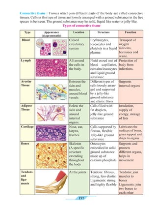 197
Connective tissue : Tissues which join different parts of the body are called connective
tissues. Cells in this type of tissue are loosely arranged with a ground substance in the free
spaces in between. The ground substance may be solid, liquid like water or jelly-like.
Types of connective tissue
Type Appearance
(diagrammatic)
Location Structure Function
Blood Closed
circulatory
system
Erythrocytes,
leucocytes and
platelets in a liquid
plasma
Transport of
oxygen
nutrients,
hormones and
waste.
Lymph All around
the cells in
the body.
Fluid oozed out of
blood capillaries,
containsleucocytes
and liquid ground
substance
Protection of
body from
infections.
Areolar
Tissue
Between the
skin and
muscles,
around blood
vessels
Different types of
cells loosely arran-
ged and supported
by a jelly-like
ground substance
and elastic fibres
Supports
internal organs
Adipose
Tissue
Below the
skin and
around
internal
organs.
Cells filled with
fat droplets,
jelly-like ground
substance
Insulation,
supply of
energy, storage
of fats
Cartilage Nose, ear,
larynx,
trachea
Cells supported by
fibrous, flexible
Jelly-like ground
substance
Lubricates the
surfaces of bones,
gives support and
shape to organs
Bones Skeleton
(A specific
structure
extending
throughout
the body
Osteocytes
embedded in solid
ground substance
made up of
calcium phosphate
Supports and
protects
different organs,
helps in
movement
Tendons
and
liga-
ments
At the joints Tendons: fibrous,
strong, less elastic
Ligaments: strong
and highly flexible
Tendons: join
muscles to
bones
Ligaments: join
two bones to
each other
 