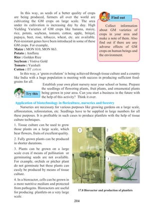 204
Application of biotechnology in floriculture, nurseries and forestry
	 Nurseries are necessary for various purposes like growing gardens on a large scale,
afforestation, reforestation, etc. Seedlings have to be supplied in large numbers for all
these purposes. It is profitable in such cases to produce plantlets with the help of tissue
culture techniques.
	 In this way, as seeds of a better quality of crops
are being produced, farmers all over the world are
cultivating the GM crops on large scale. The area
under its cultivation is increasing day by day. High
Yielding Varieties of GM crops like banana, maize,
rice, potato, soybean, tomato, cotton, apple, brinjal,
papaya, beet, rose, tobacco, wheat, etc. are available.
Pest-resistant genes have been introduced in some of these
GM crops. For example,
Maize : MON 810, MON 863.
Potato : Amflora
Rice : Golden Rice
Soybean : Vistive Gold
Tomato : Vaishali
Cotton : BT cotton
Establish your own plant nursery near your school or home. Prepare
the seedlings of flowering plants, fruit plants, and ornamental plants
being grown in your area. Can you start a business in the future with
the help of this activity? Think it over.
1. Tissue culture can be used to grow
those plants on a large scale, which
bear flowers, fruits of excellent quality.
2. Fully grown plants can be produced
in shorter durations.
3. Plants can be grown on a large
scale even if means of pollination or
germinating seeds are not available.
For example, orchids or pitcher plant
do not germinate but these plants can
easily be produced by means of tissue
culture.
4. In a bioreactor, cells can be grown in
a more nutritive medium and protected
from pathogens. Bioreactors are useful
for producing plantlets on a very large
scale.
17.8 Bioreactor and production of plantlets
Try this
Find out
	 In this way, a ‘green evolution’ is being achieved through tissue culture and a country
like India with a huge population is meeting with success in producing sufficient food-
grains for all.
1 2
3
Collect information
about GM varieties of
crops in your area and
make a note of them. Also
find out if there are any
adverse effects of GM
crops on human beings and
the environment.
 